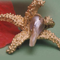 Starfish Brooch