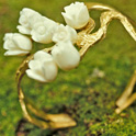 Roses Cuff